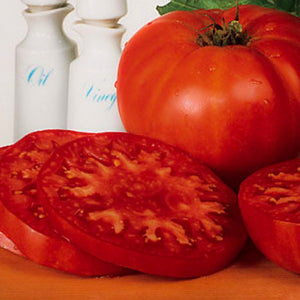 Tomato Supersteak Hybrid, Colour Paradise, Kitchener Waterloo