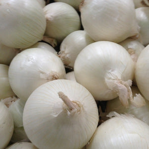 Onion, White Sweet Spanish