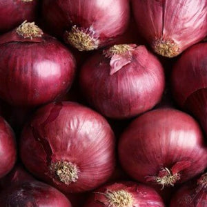 Onion, Red Nugent