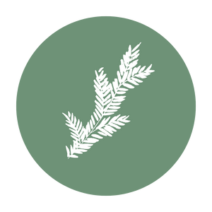 Wintergreens