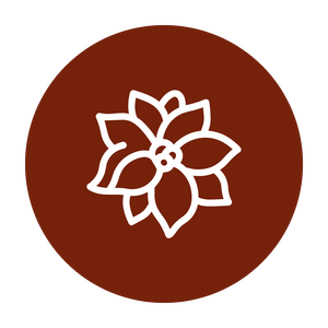 Poinsettias