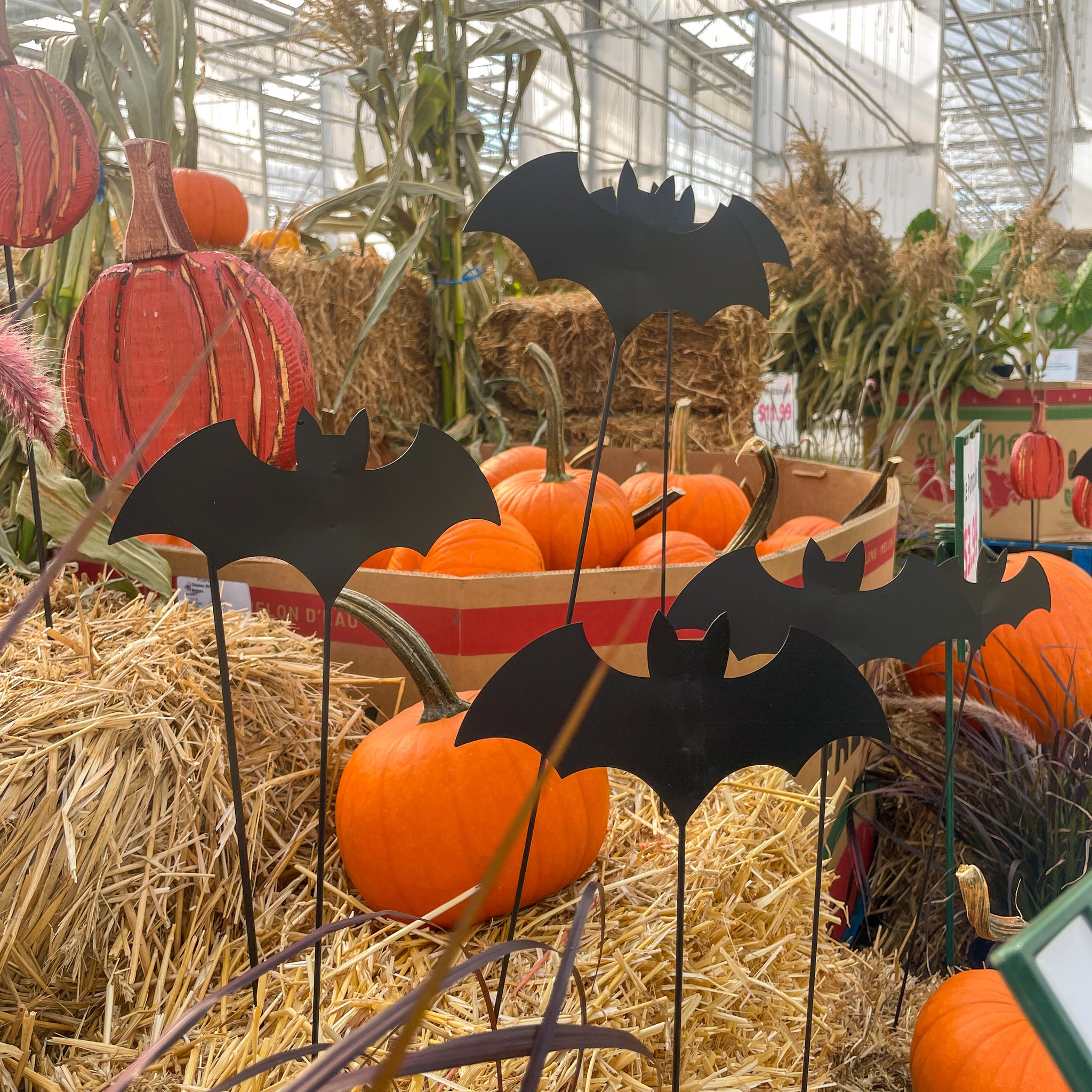 Fall Decor