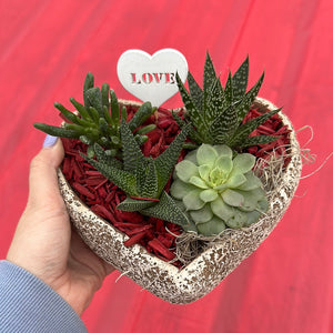 Valentine's Succulent Stone Heart