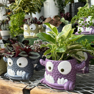 Snaggle Tooth Monster Ceramic Potted Plant