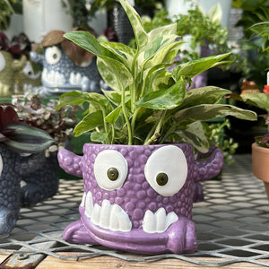 Snaggle Tooth Monster Ceramic Potted Plant