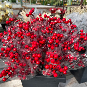 Wintergreen Sticks