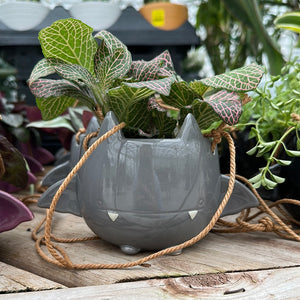 Fang Von Batula Hanging Ceramic