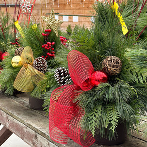 12" Decorated Wintergreen Pot (Variety of Options)