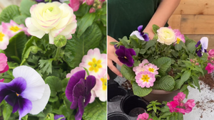 Spring Planter Workshop