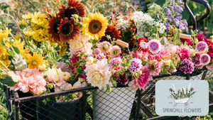 Cut Flower Garden Class