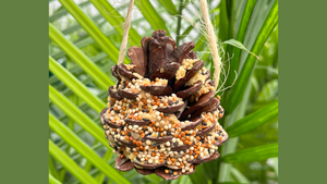 Pinecone Birdfeeder Kids Craft
