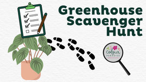 Greenhouse Scavenger Hunt