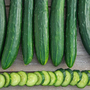 Cucumber, Tasty Green