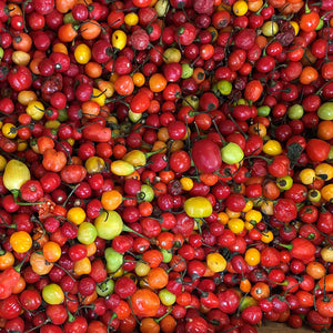 Pepper, Wiri Wiri