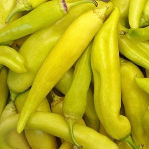 Sweet Banana Pepper, Colour Paradise, Kitchener Waterloo