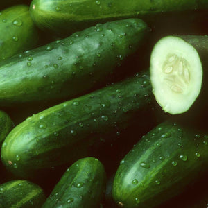 Cucumber, Sweet Success