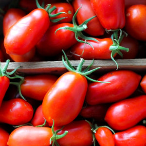 Tomato San Marzano, Colour Paradise, Kitchener Waterloo