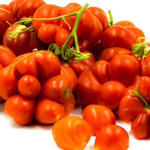 Tomato Reisetomate, Colour Paradise, Kitchener Waterloo