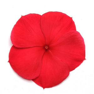 Vinca, Cell pak