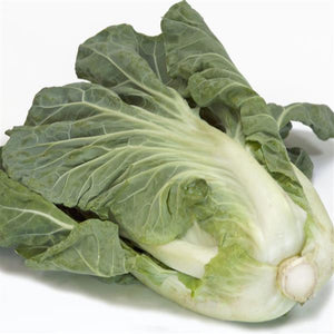 Cabbage, Sweet Thang